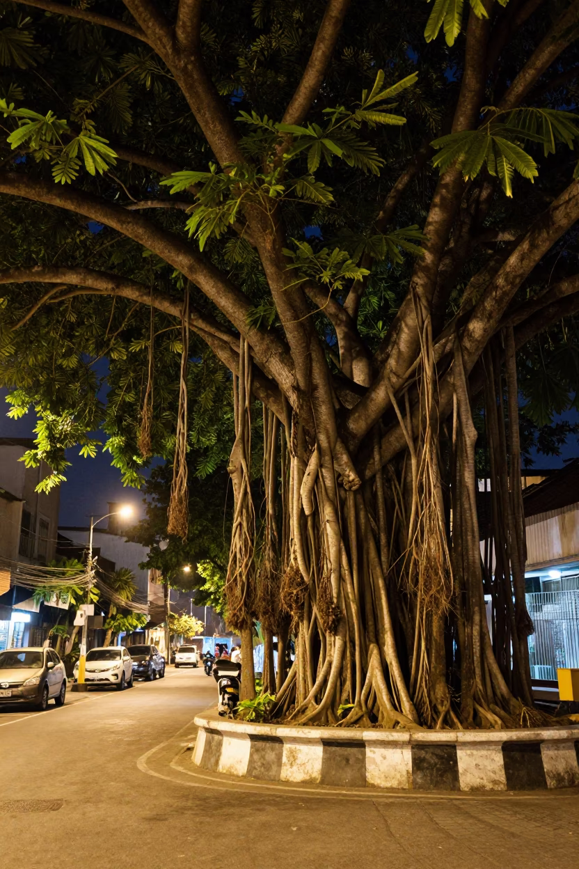 Late Night Surabaya Street Scene with Banyan Tree and Local Vendor in in Surabaya, Indonesia