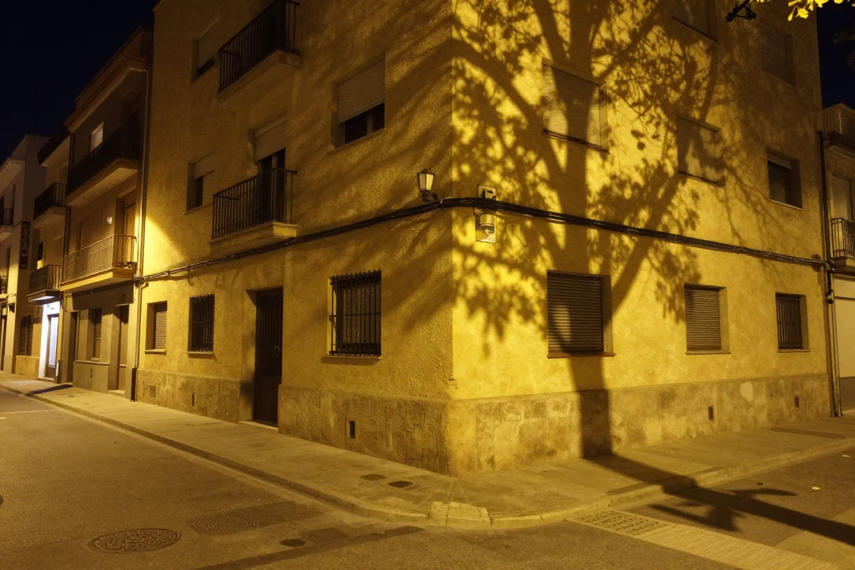Late Night Valencia Street Scene with Dappled Leaf Shadows on Plaster Walls and Lemons in in Valencia, Spain