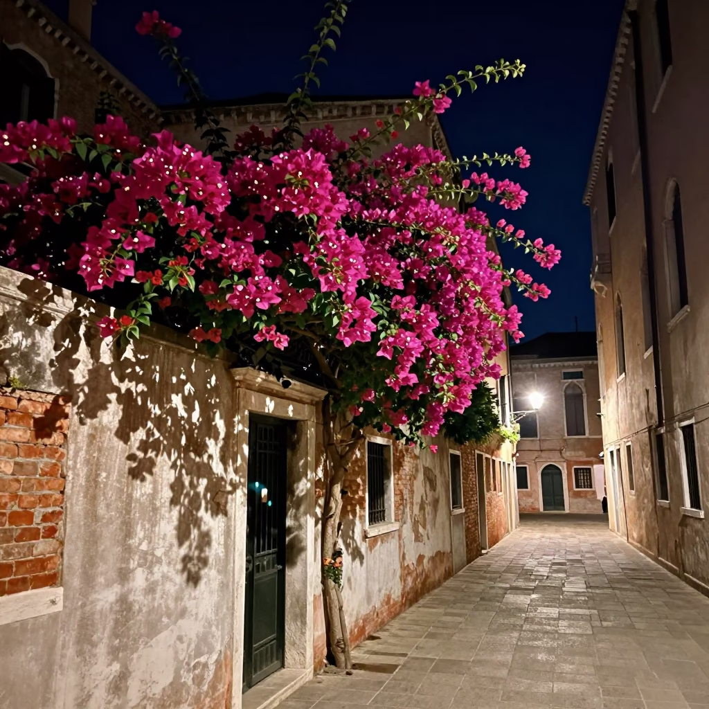 Late Night Venetian Street Scene with Bougainvillea and Historic Architecture in in Venice, Italy