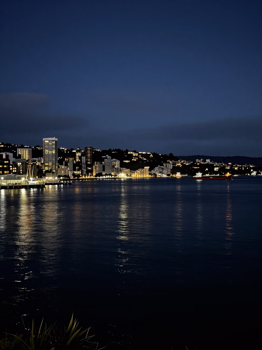 Late Night Wellington Harbour Horizon Shot with Distant Cargo Ship and City Lights in in Wellington, New Zealand