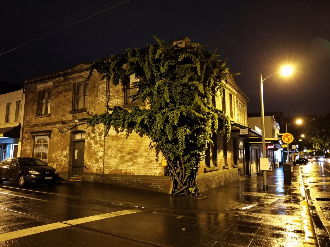 Late Night Wellington Street Scene with Vine and Monorail Infrastructure in in Wellington, New Zealand