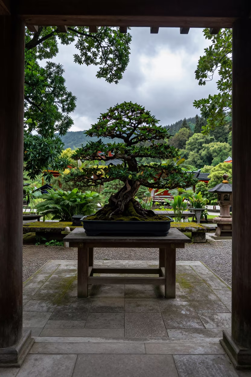 Late Summer Bonsai in Black Forest Shrine Alcove in at a shrine entrance in the Black Forest
