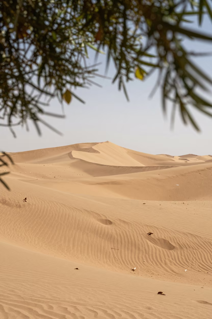 Late Summer Dunes Under Stars Near Isfahan in near Isfahan