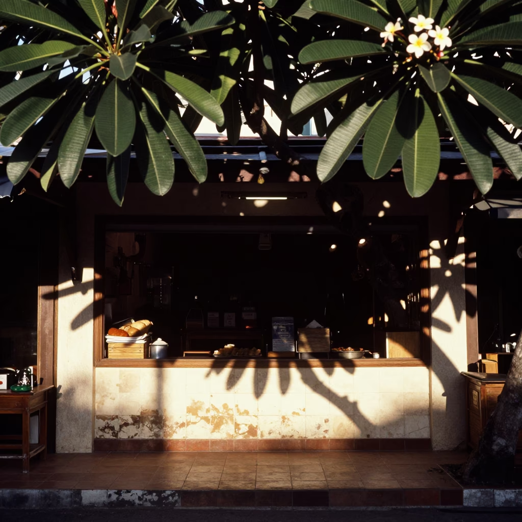 Leaf Shadows at The Late Afternoon Light in Phuket in in Phuket, Thailand
