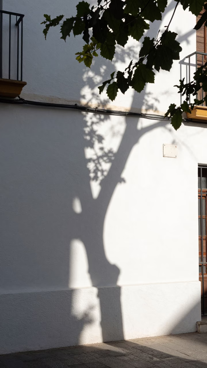 Leaf Shadows in Granada at The Late Morning Light in in Granada, Spain