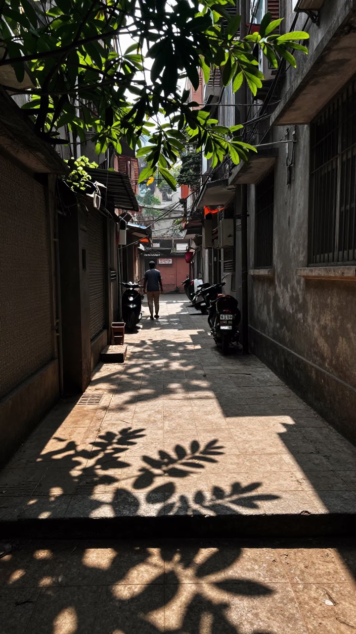 Leaf Shadows in Kolkata at The Late Afternoon Light in in Kolkata, India