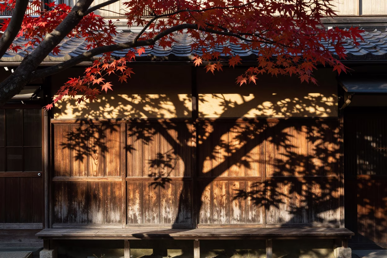 Leaf Shadows in Kyoto at The Late Morning Light in in Kyoto, Japan