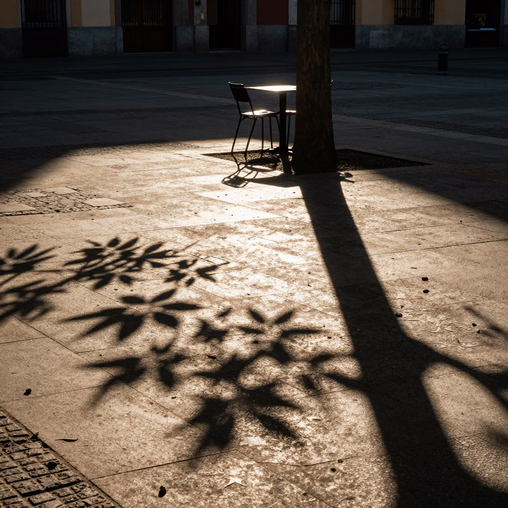 Leaf Shadows in Madrid at As First Light Reaches The Scene in in Madrid, Spain