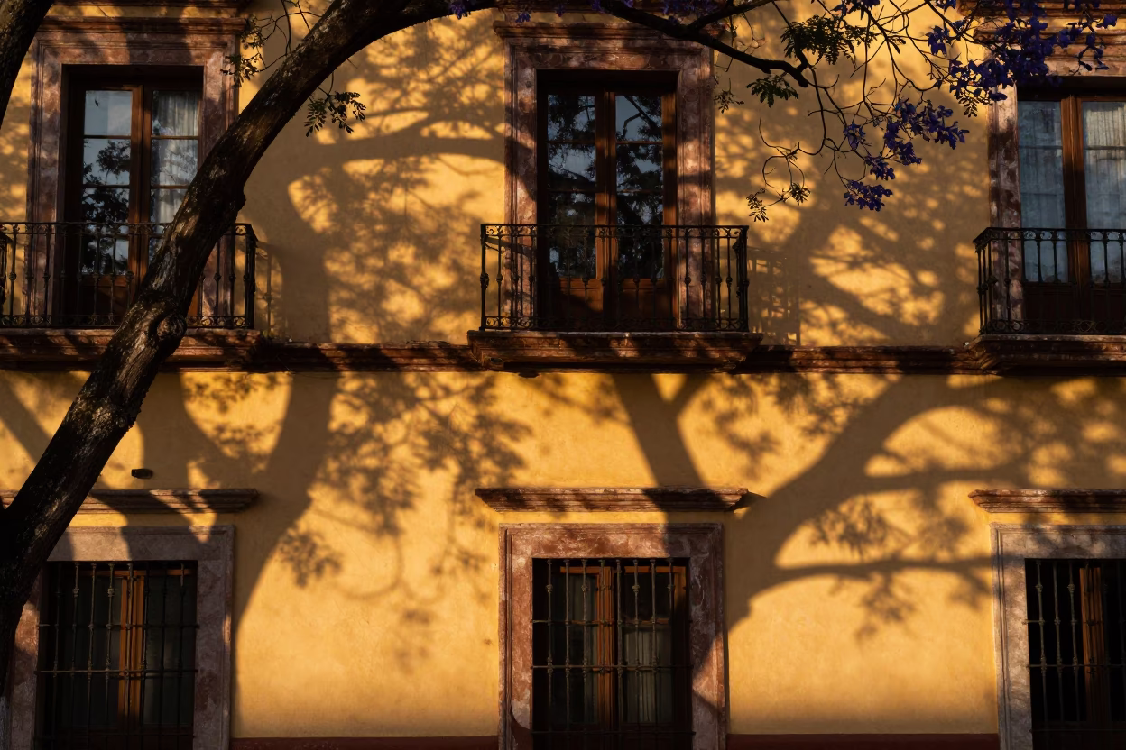 Leaf Shadows in Merida at Honeyed Evening Light in in Merida, Mexico