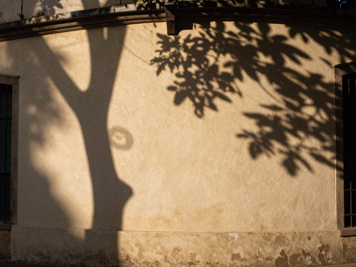 Leaf Shadows in Rio De Janeiro in in Rio de Janeiro, Brazil