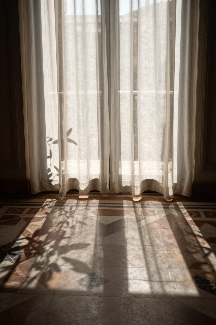 Leaf Shadows in Rome at The Late Morning Light in in Rome, Italy