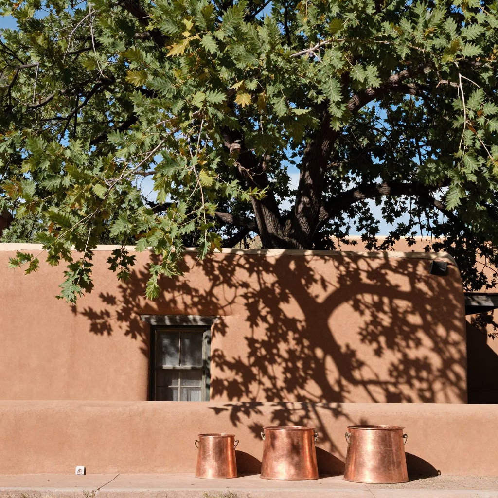 Leaf Shadows in Santa Fe in in Santa Fe, New Mexico, United States