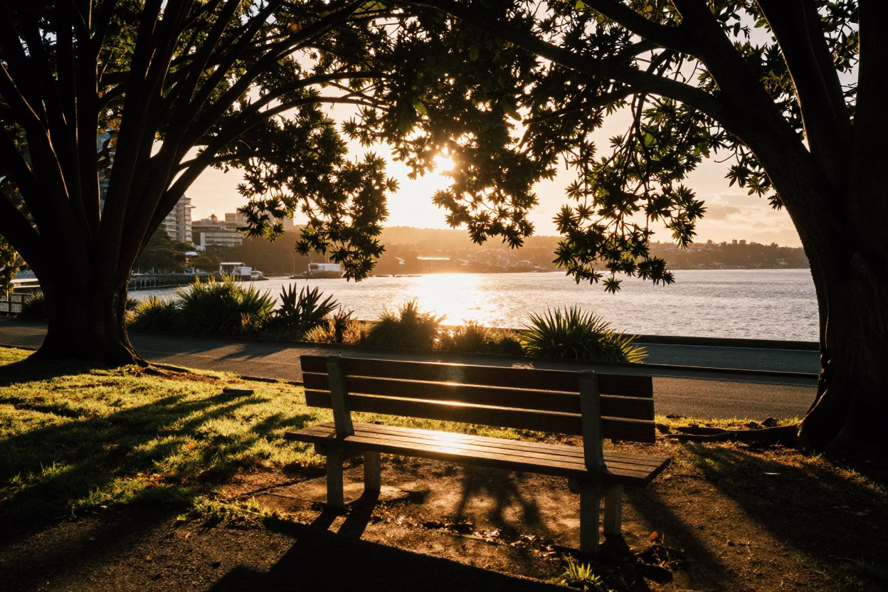 Leaf Shadows in Wellington at Honeyed Evening Light in in Wellington, New Zealand