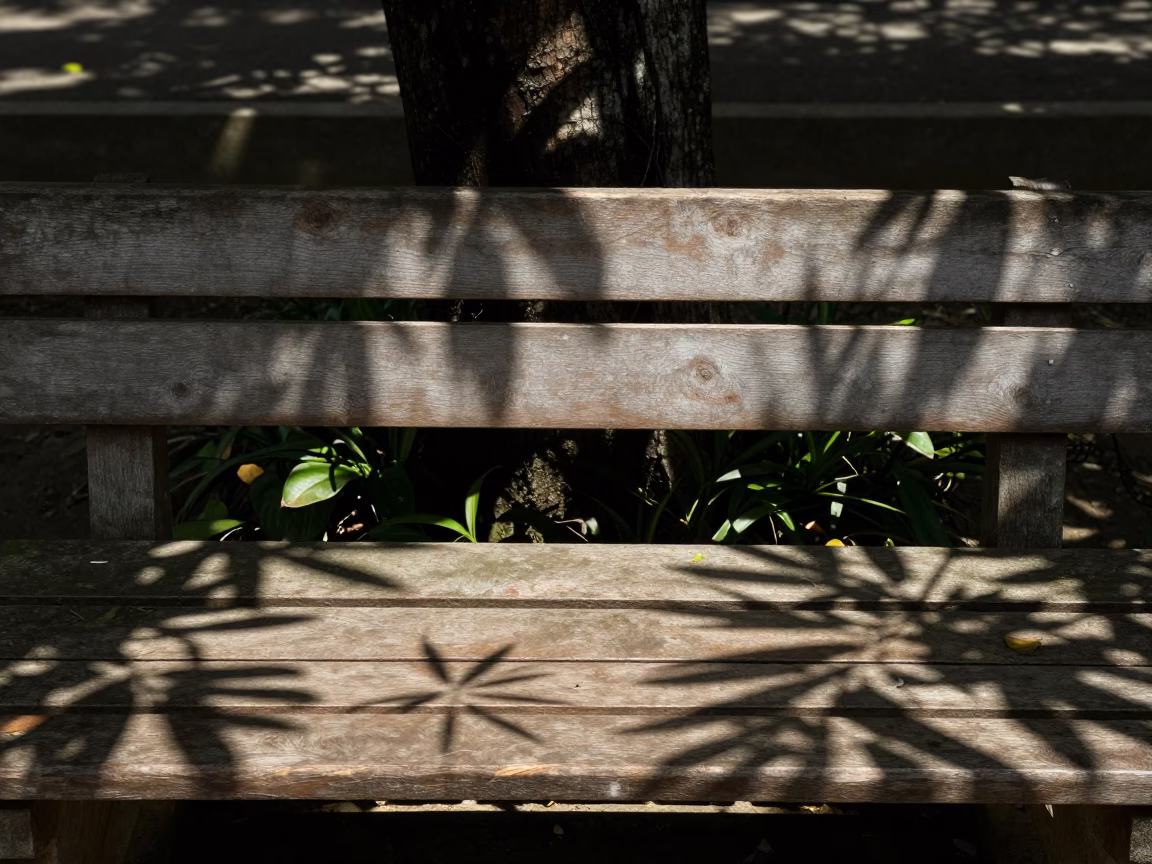 Leaf Shadows on Bench Slat in Yogyakarta Indonesia Midmorning Light in in Yogyakarta, Indonesia