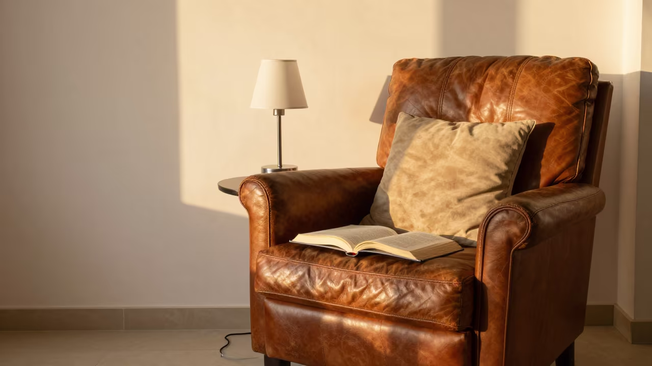 Leather Armchair Pillow Book Lamp Golden Hour Tanta in on a worn leather armchair near Tanta