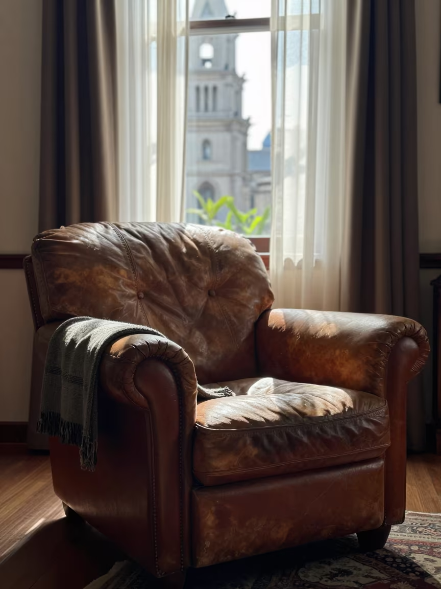 Leather Armchair Sofa Pillow Throw Late Spring in on a worn leather armchair near Lastarria, Santiago