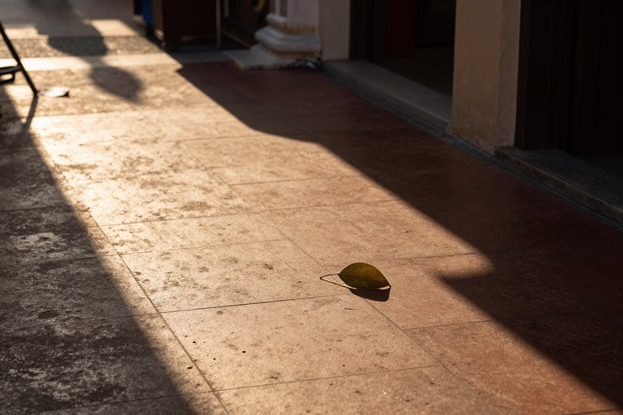 Leaves in George Town at Late Afternoon Light in in George Town, Malaysia