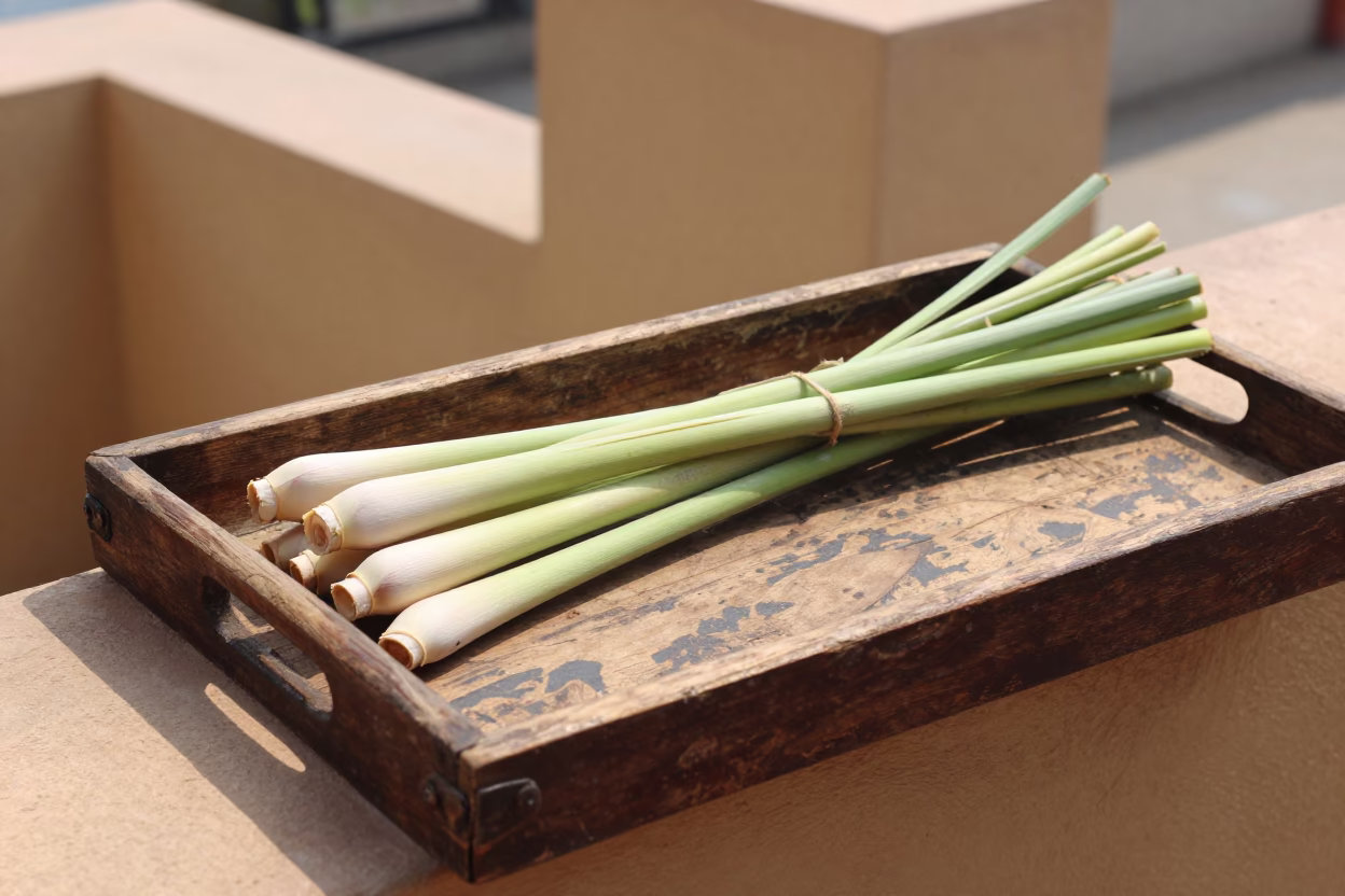 Lemongrass Stalks in Chennai in in Chennai, India