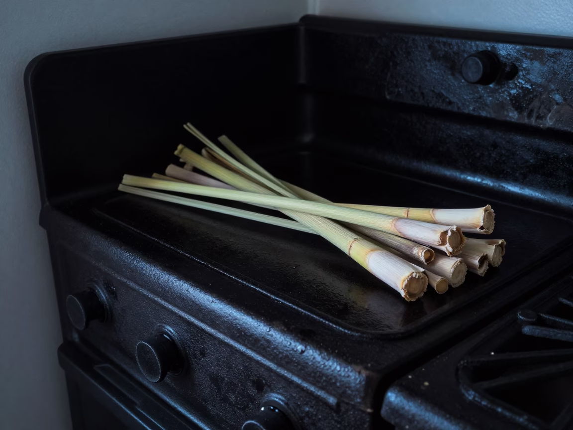 Lemongrass Stalks in New Orleans in in New Orleans, Louisiana, United States