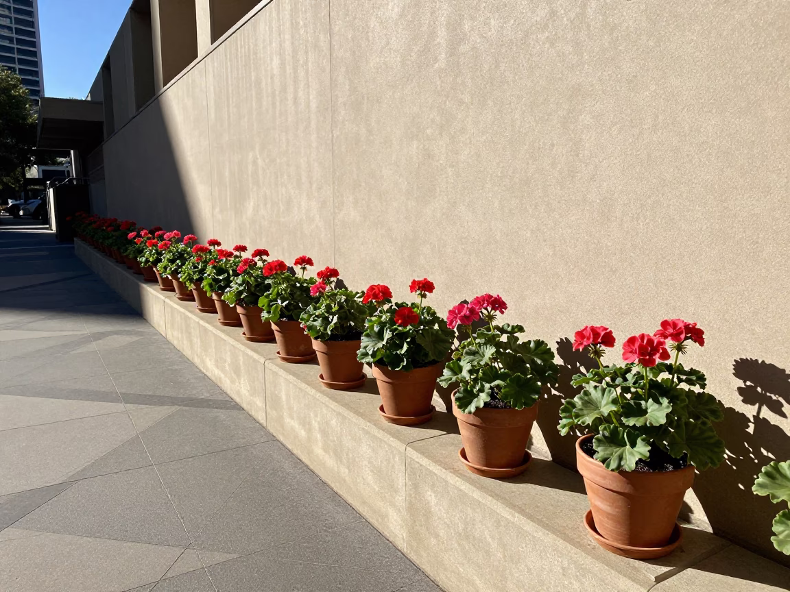 Library Wall in Adelaide in in Adelaide, South Australia, Australia