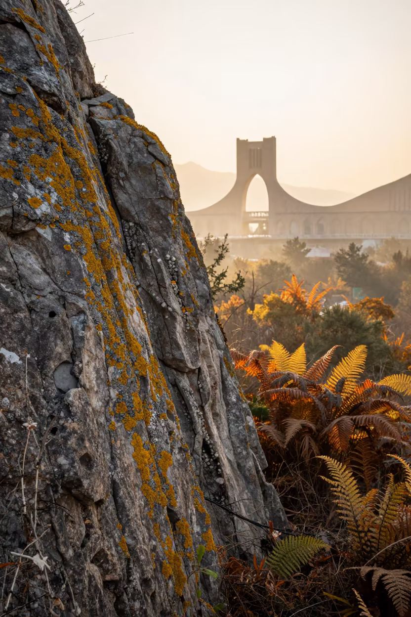 Lichen Map Rock at Sunrise Near Tabiat Bridge Tehran in on a fern-lined forest floor near Tabiat Bridge, Tehran