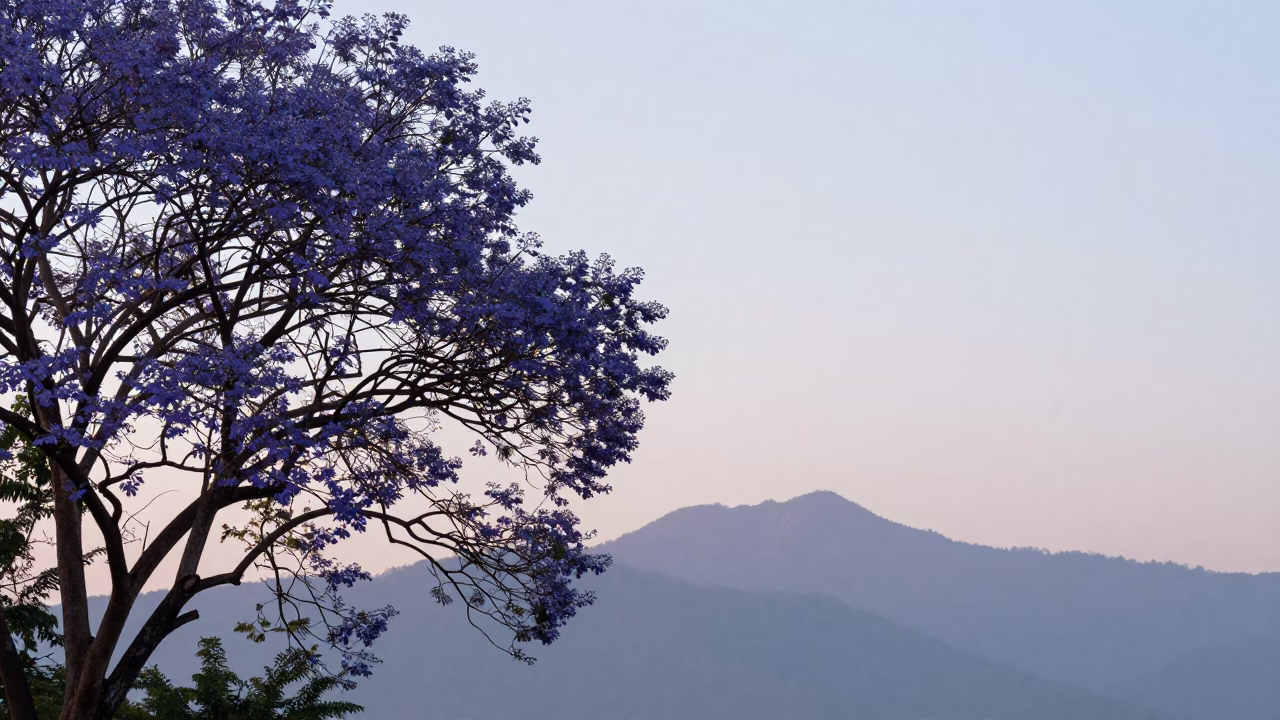 Light Dawn at First Light Of Dawn in Chiang Mai in in Chiang Mai, Thailand