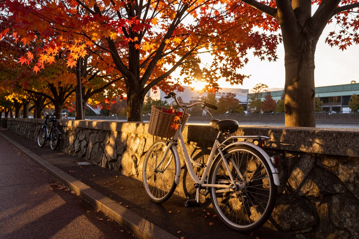 Light Falling in Sapporo at Golden Hour in in Sapporo, Japan