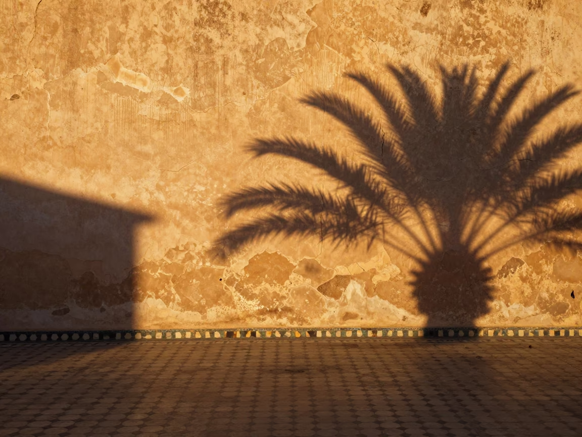 Light in Casablanca at Golden Hour in in Casablanca, Morocco