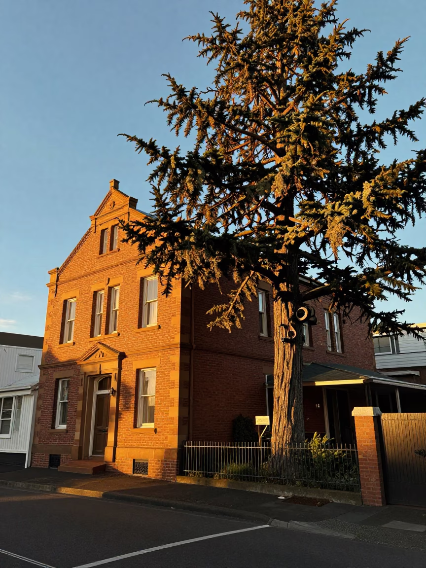 Light in Christchurch at Golden Hour in in Christchurch, New Zealand