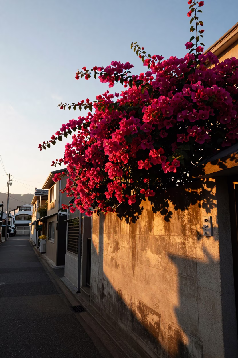 Light in Fukuoka at Golden Hour in in Fukuoka, Japan