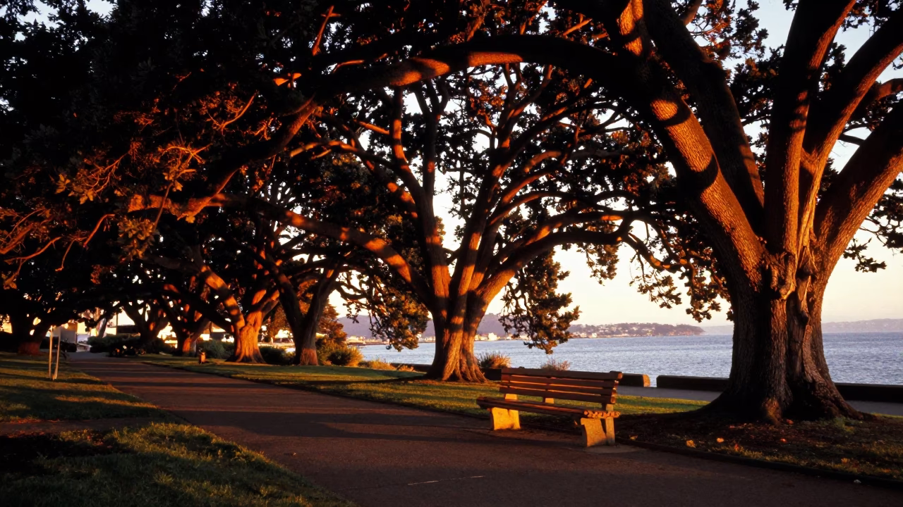 Light Stripes in San Francisco at Sunset Light in in San Francisco, California, United States