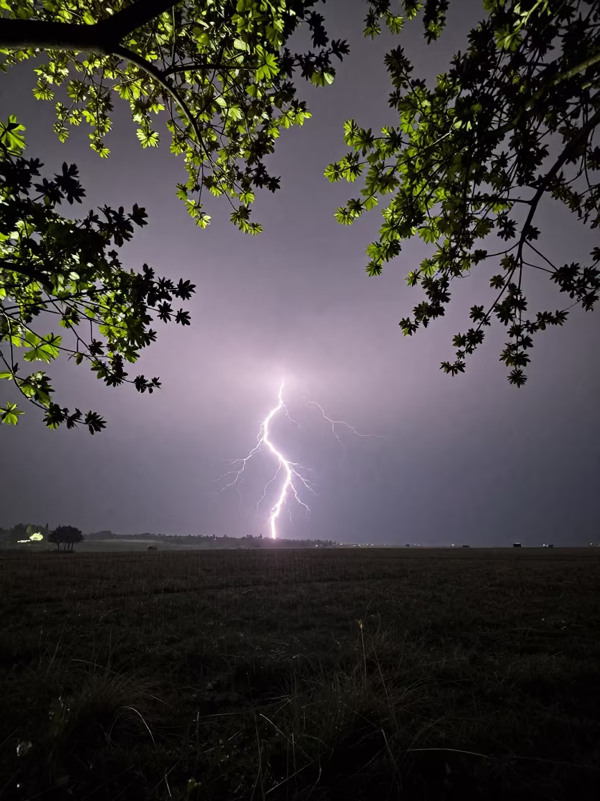 Lightning Forks Over Cypress Fog in Early Spring in through low marine fog in Cyprus