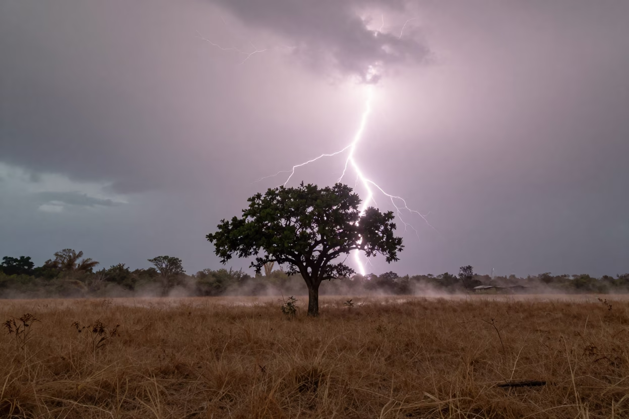 Lightning Strike on Lone Tree in Dry Field in beneath fast-moving cloud bands near Victoria Seychelles