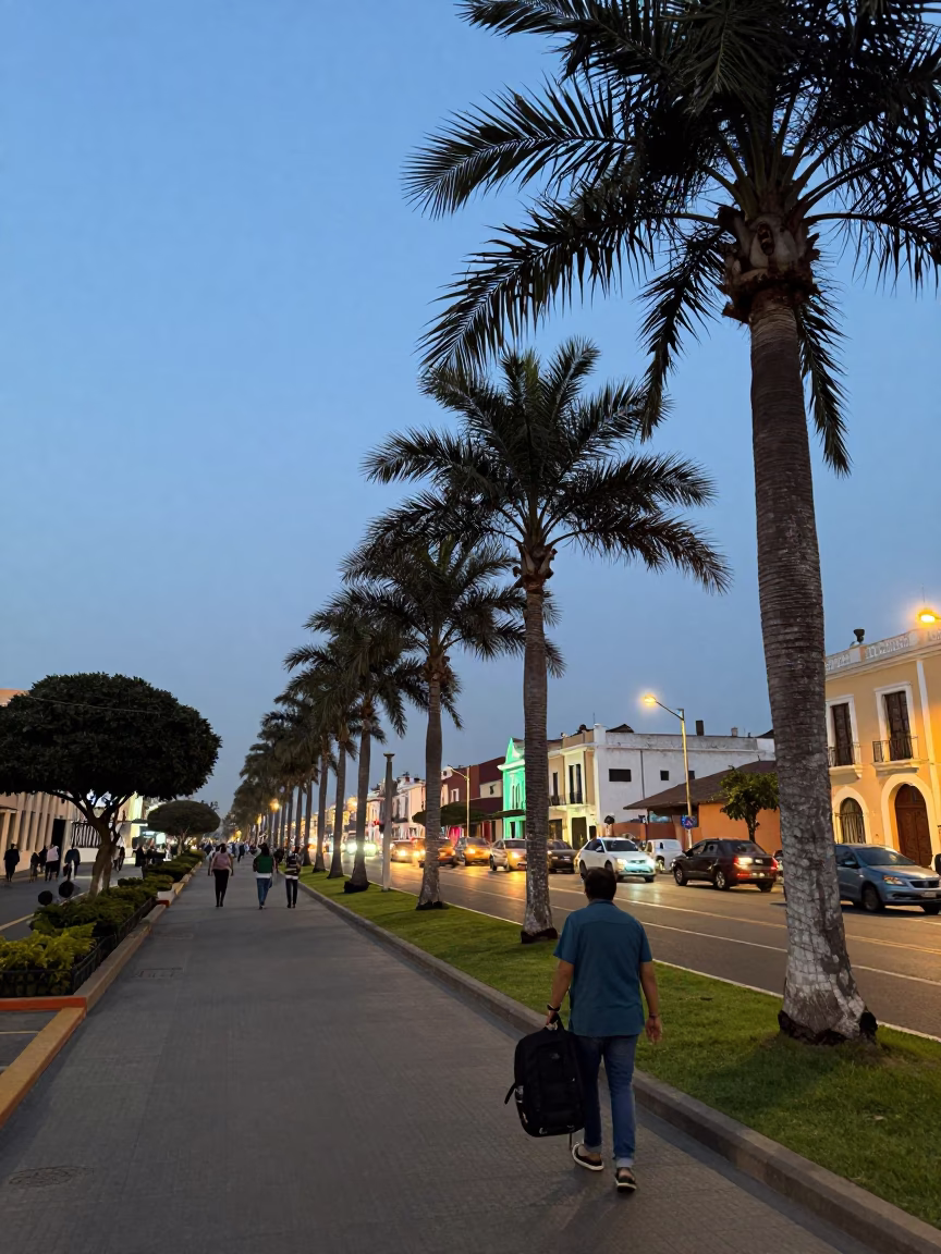 Lima Peru Evening Street Scene with Palm Trees and Traveler Suitcases in in Lima, Peru