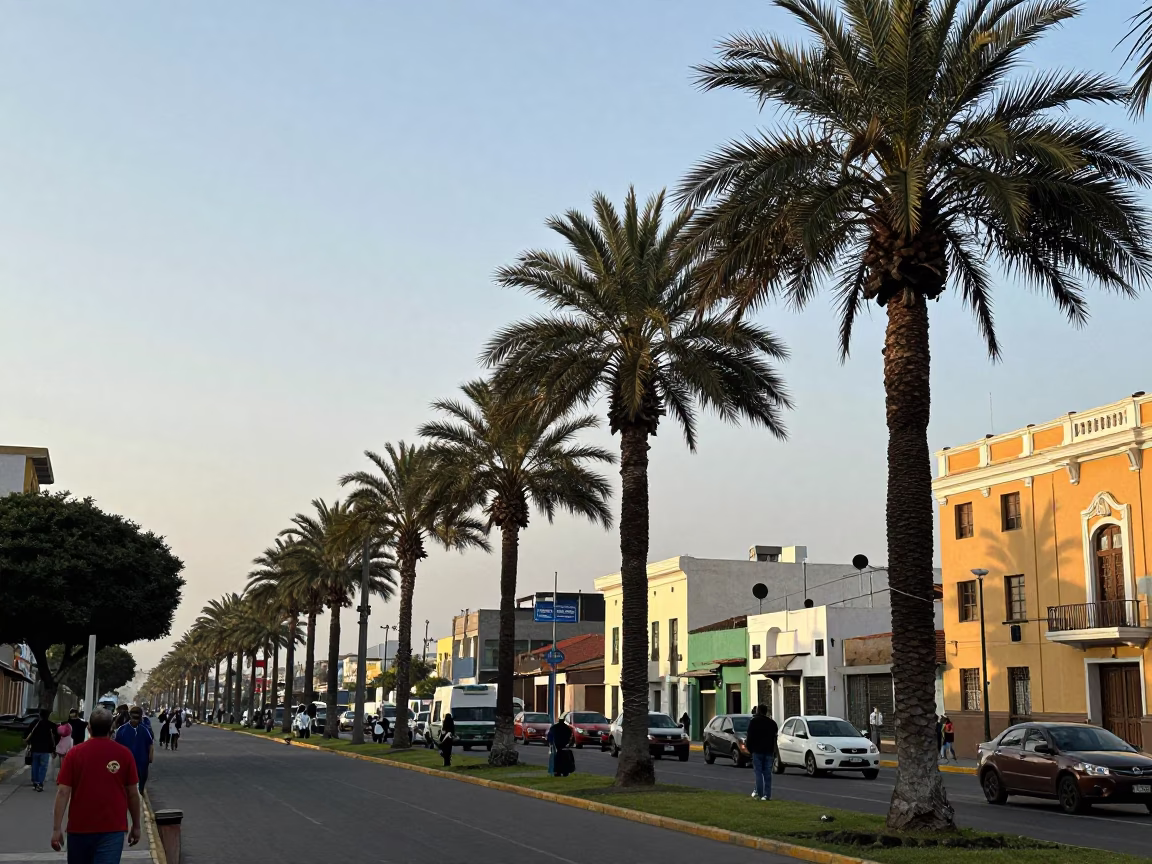 Lima Peru late afternoon street scene with palm trees and local life in in Lima, Peru