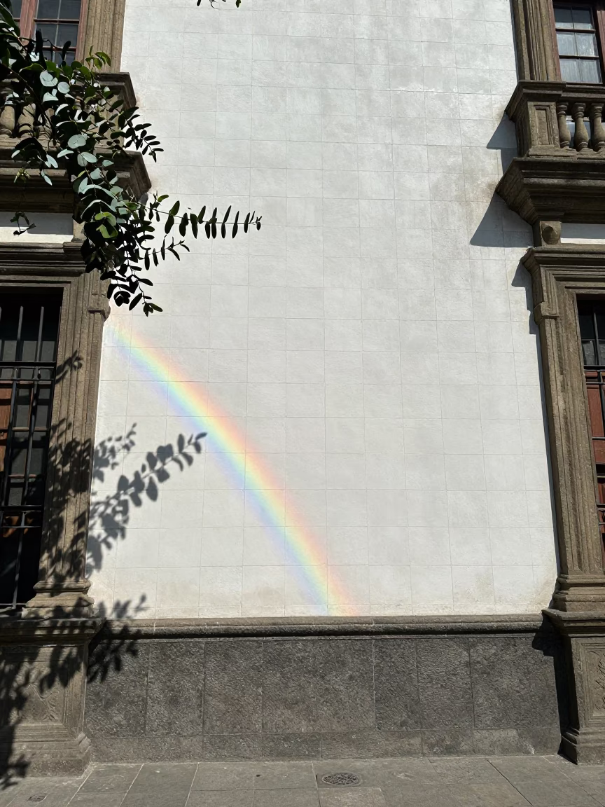 Lima Peru Noon Sunlight Striking Tile Grout and Rainbow Eucalyptus Bark in Historic District in in Lima, Peru