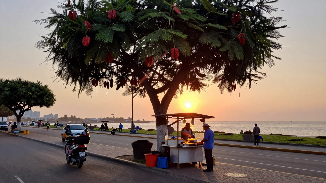 Lima Peru Sunset Street Scene with Tamarind Tree and Harbor Breakwater in in Lima, Peru