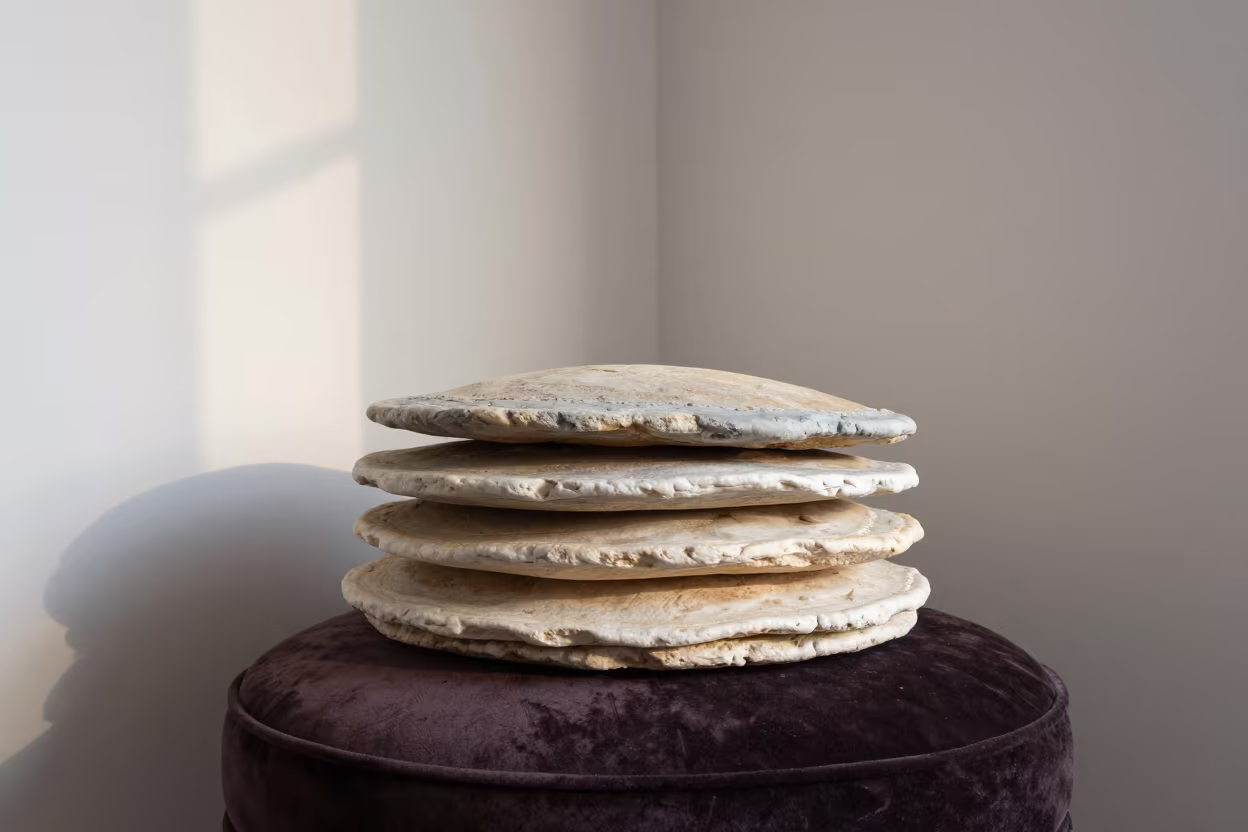 Limestone Pancake Rock on Velvet Chair Campeche in on a velvet chair in Campeche