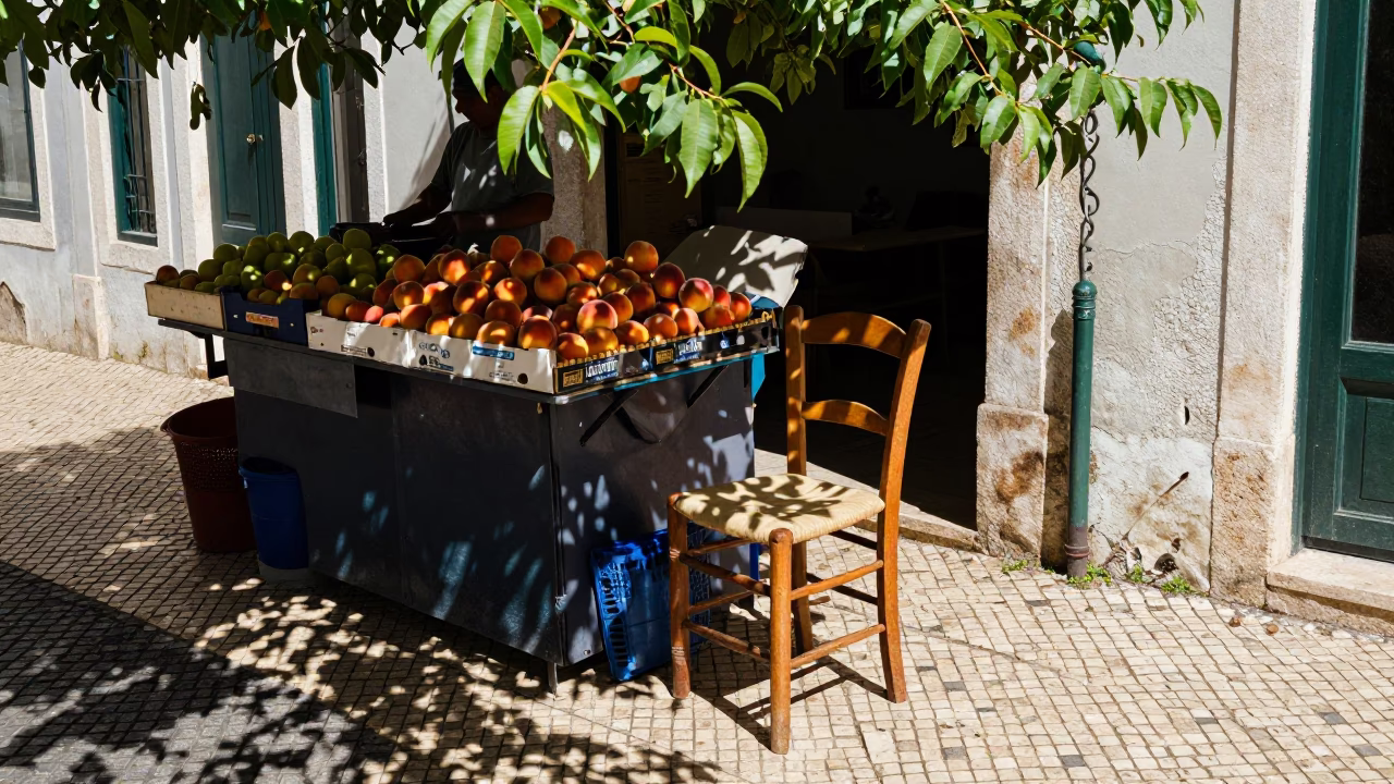 Lisbon Street Scene with Leaf Shadows and Peaches in Bright Midmorning Light in in Lisbon, Portugal