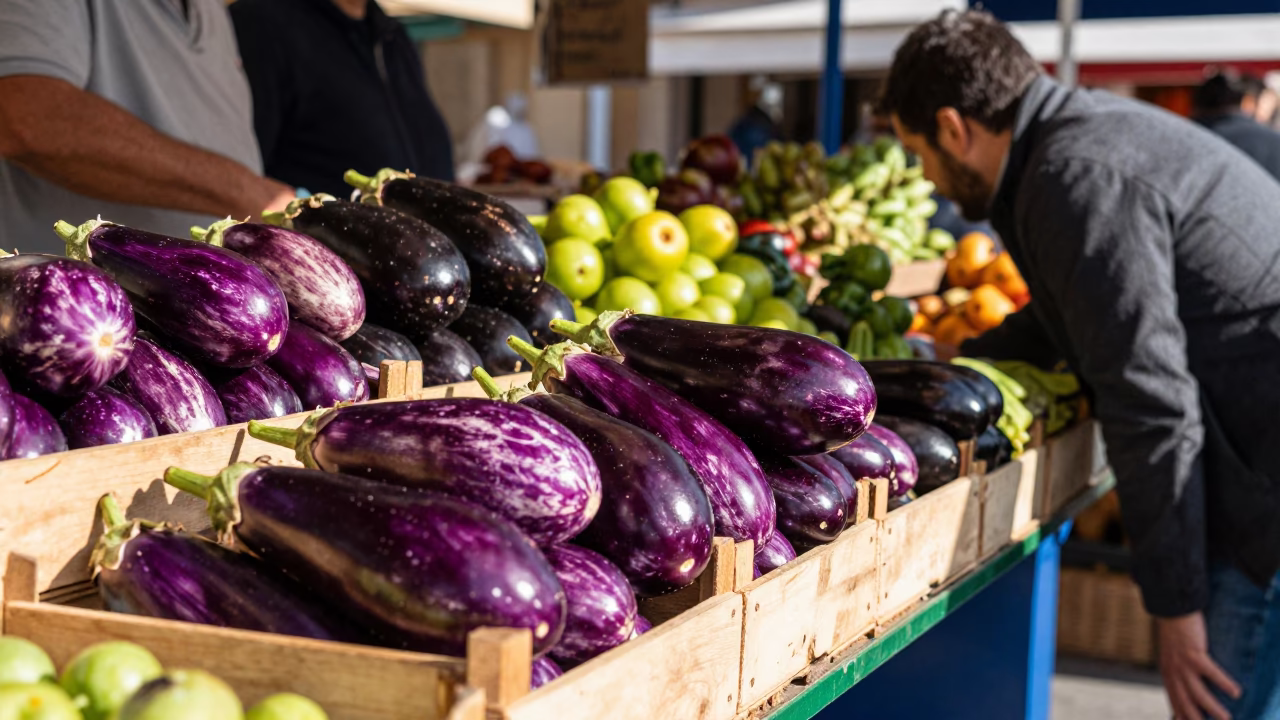 Lively Valencia Market Stall with Fresh Eggplants and Local Commerce in in Valencia, Spain