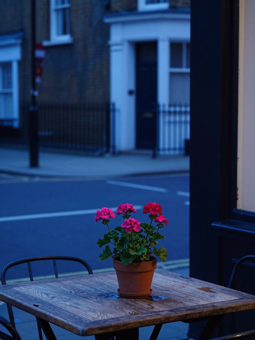 London Evening Street Scene with Potted Geraniums and Grease Sheen on Tabletop in in London, United Kingdom
