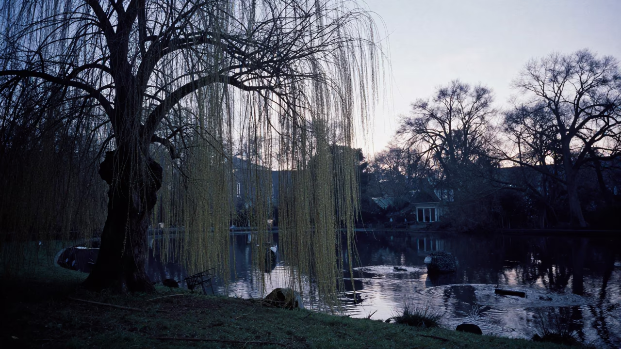 London Morning Before Sunrise with Willow Tree Pond and Rake Heads in in London, United Kingdom