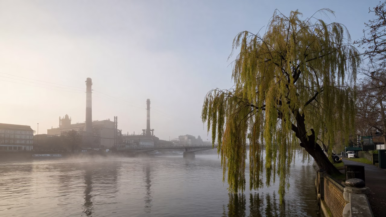London Nautical Dawn Rail Catenary Fog and Weeping Willow by Thames in in London, United Kingdom