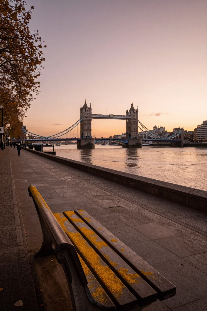 London Thames Riverbank at Dusk with Pollen on Bench and Potted Succulents in in London, United Kingdom