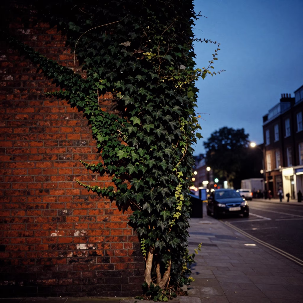 London Twilight Street Scene with Ivy Clad Brick Wall and Iron Hook in in London, United Kingdom