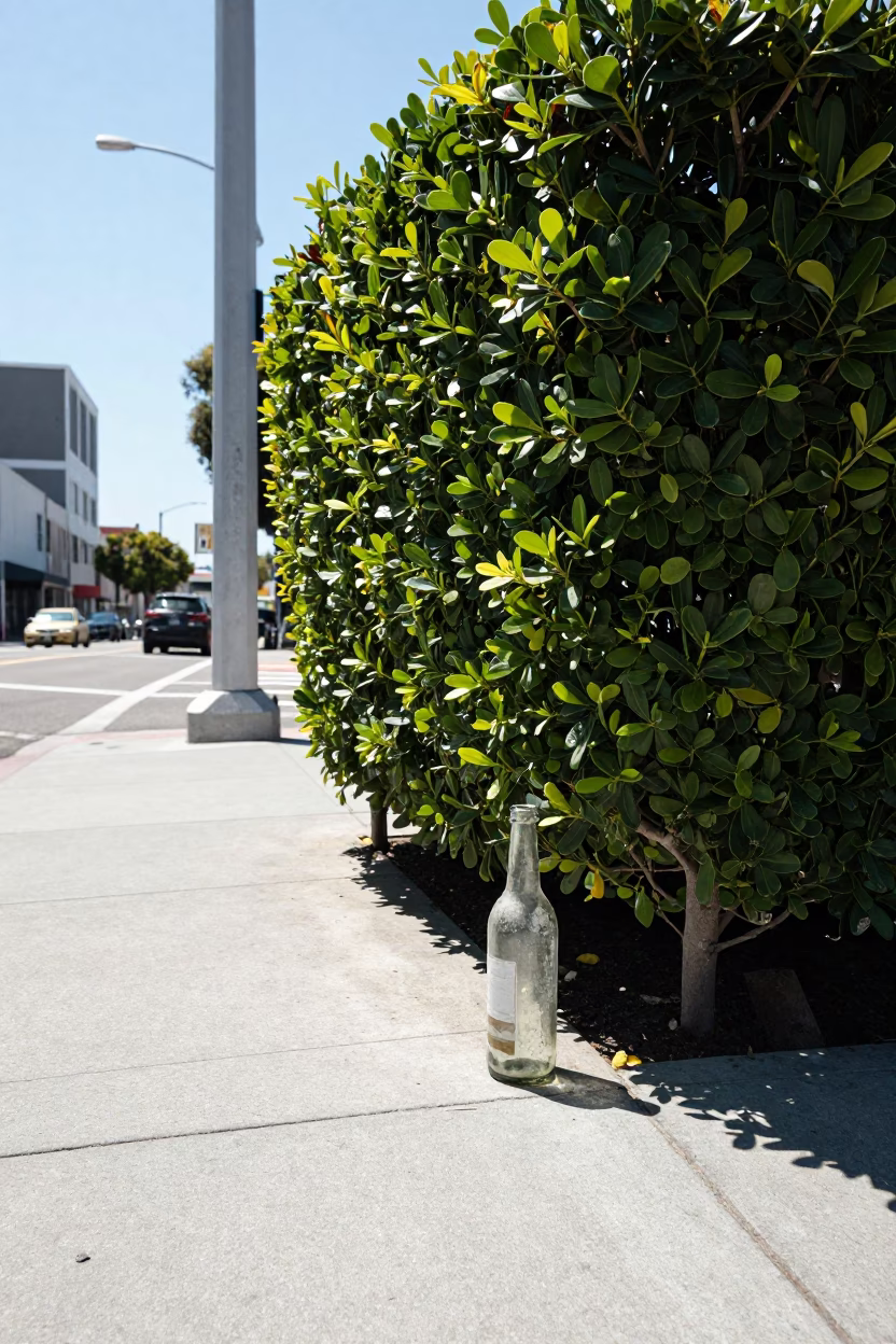 Los Angeles Midmorning Street Scene with Bottle and Boxwood Hedge in in Los Angeles, California, United States