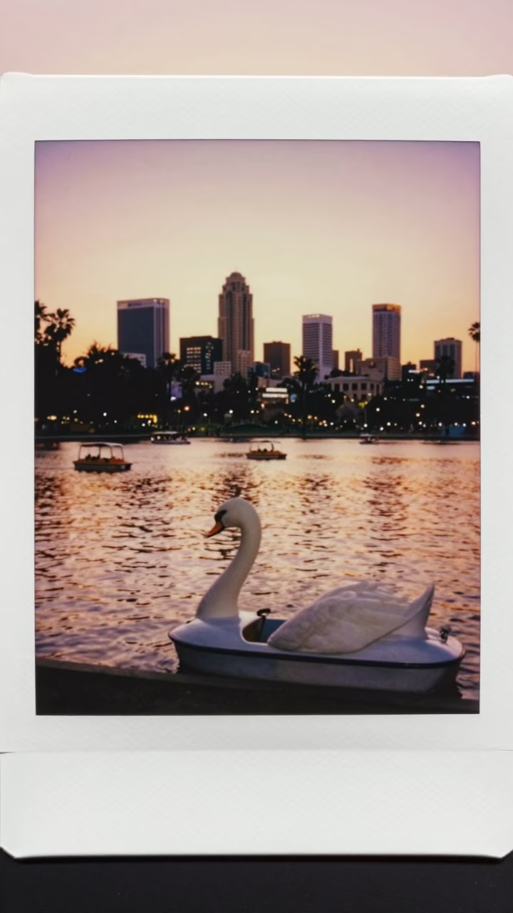 Los Angeles Sunset Street Scene with Swans and Pedal Boats at Twilight in in Los Angeles, California, United States