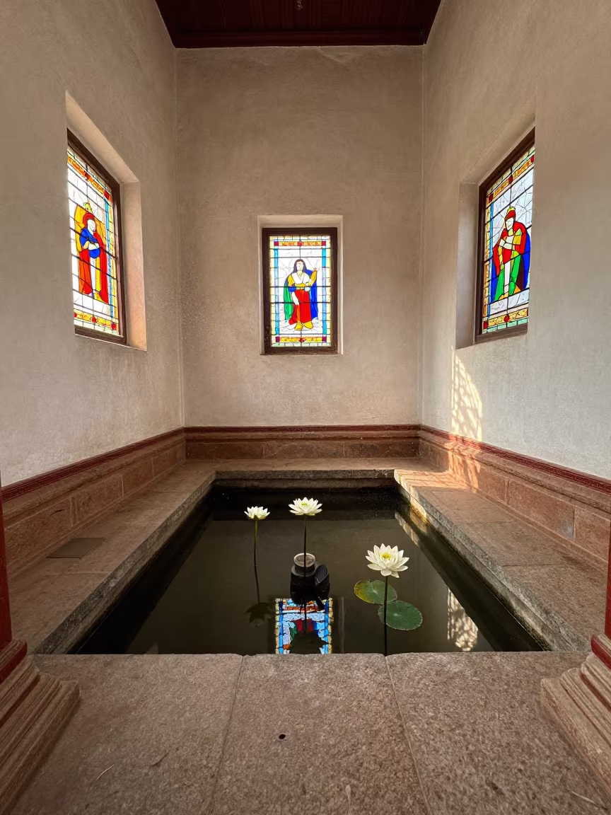 Lotus Bloom in Temple Tank Under Stained Glass Light in in a chapel lit by stained glass in Muhanga
