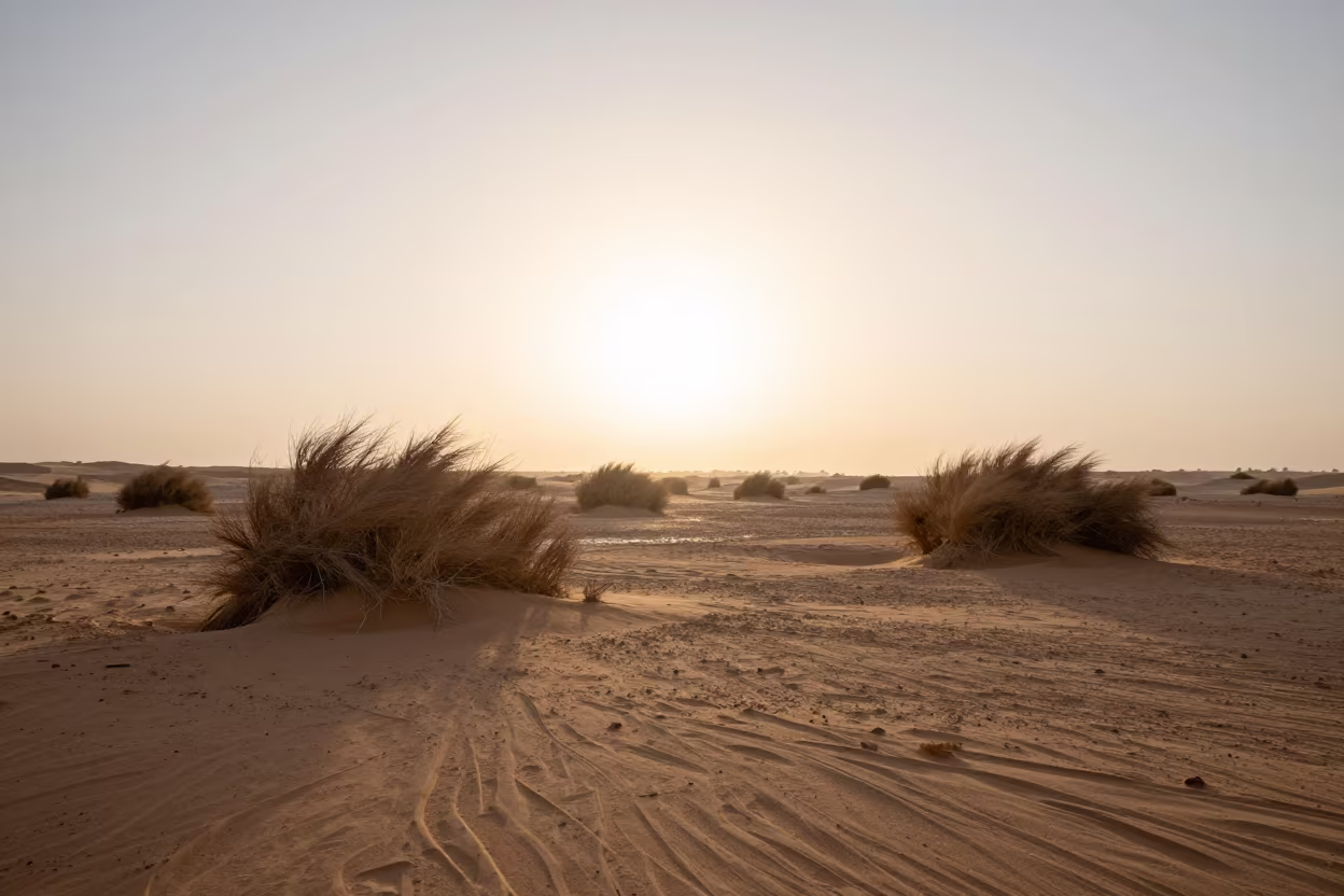 Low Angle Mirage on Doha Floodplain at Sunrise in across a floodplain after rain near Doha