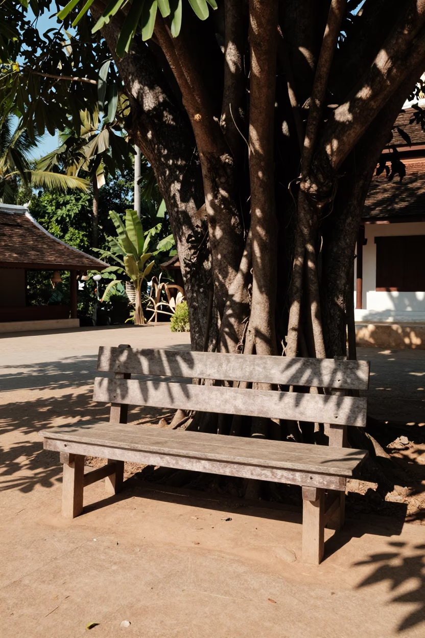 Luang Prabang Laos Noon Sunlight and Wicker Shadows on Wooden Bench in Historic Town in in Luang Prabang, Laos